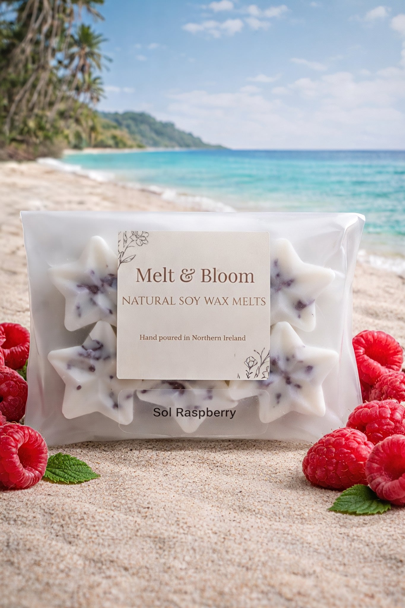 Sol Raspberry 6 Pack Botanical Wax Melt Stars