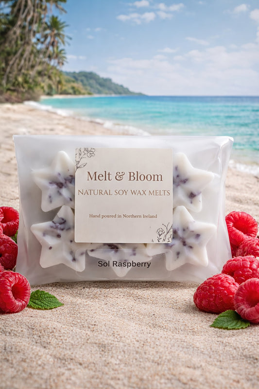 Sol Raspberry 6 Pack Botanical Wax Melt Stars