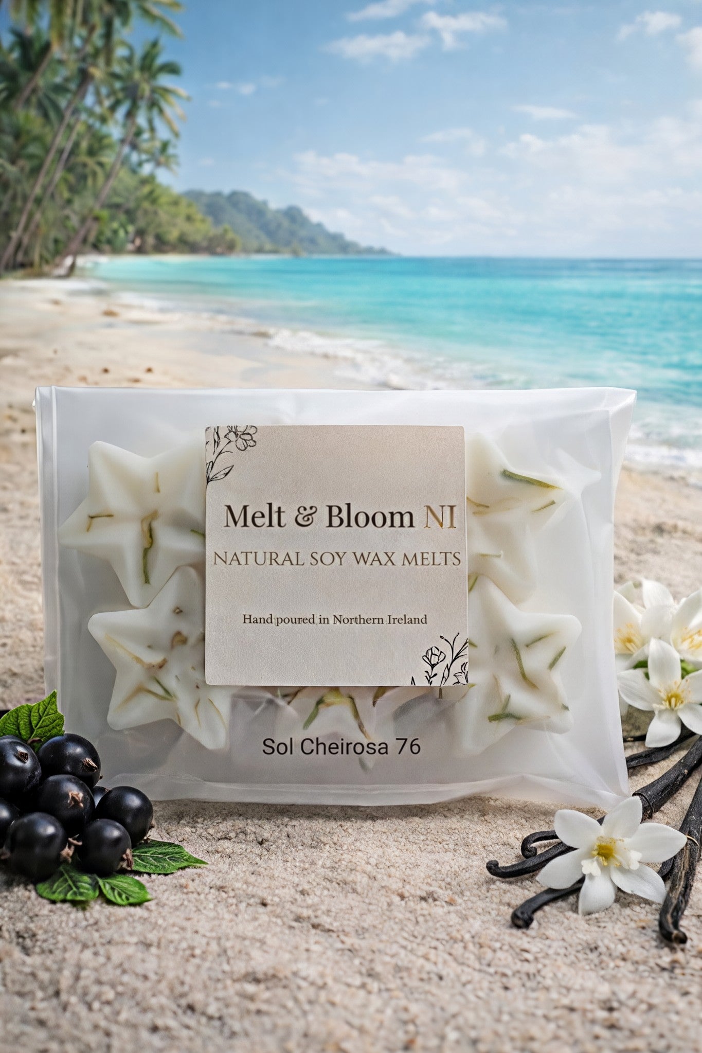 Sol Cheirosa 76 6 Pack Botanical Wax Melt Stars